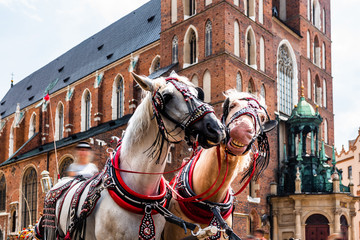 Naklejka na ściany i meble Cracow, Poland.Horses in the town center. Carriage for tourists on the background of a historic church.Horse-drawn cart on the main square of the historic city. Tourists on the main market place. 