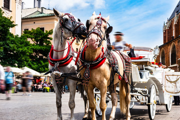 Cracow, Poland.Horse-drawn cart on the main square of the historic city. Horses in the town center. Carriage for tourists on the background of a historic church. Tourists on the main market place.