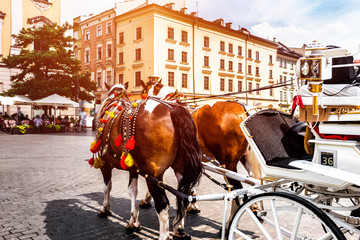 Sunny day in Cracow.Beautiful horses in the town center. Traditional carriage for tourists on the...