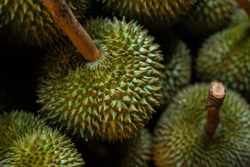 Naklejka na ściany i meble Durian fruit, a close-up with a beautiful blurry background (shallow depth of field). At night market.