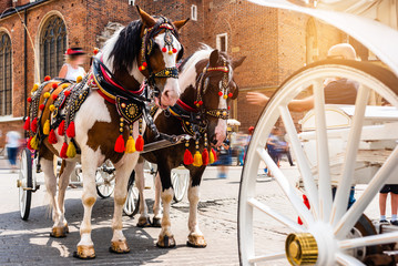 Beautiful horses in the town center.Colorful horse-drawn cart on the main square of the historic city.  Traditional carriage for tourists on the background of a historic church.Sunny day in Cracow. - obrazy, fototapety, plakaty