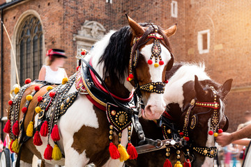 Naklejka na ściany i meble Beautiful horses in the town center. Horse-drawn cart on the main square of the historic city. Traditional carriage for tourists on the background of a historic church.View of Cracow, Poland.