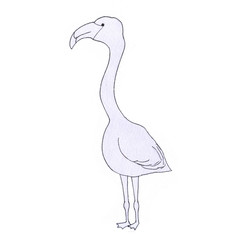 Flamingo - One of the characters in the book of Lewis Carroll 