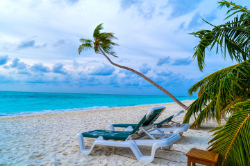 Lounge chairs on a beautiful tropical beach at Maldives