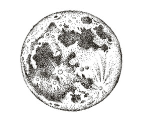 Moon hand drawn vector illustration.