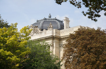Obraz premium Grand Palais Toiture Paris