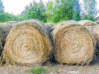 spun in bales of dry straw