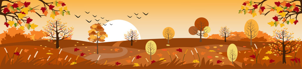 Panoramic of Countryside landscape in autumn, Vector illustration of horizontal banner of autumn landscape mountains and maple trees fallen with yellow foliage,Panorama autumn view in evening with sun
