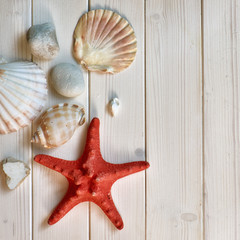 Maritime Decorations - stones, shells and knots - on light wood
