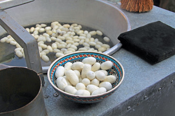 White silkworm cocoons floating in hot water prior to having the silk thread taken off in a kibbutz in Turkey near Selcuk.  