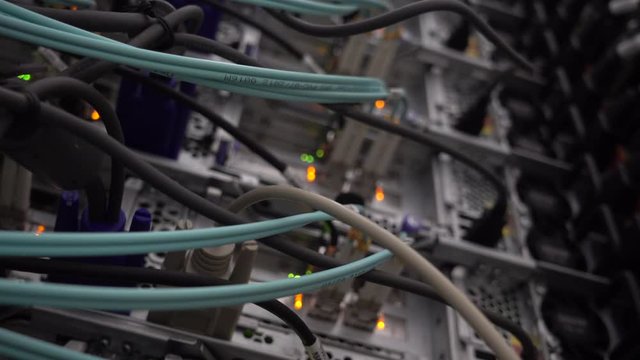 Blue optical cable close up. Bottom view. Work server