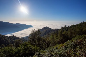 Beautiful Protected area of Kintrishi and Resort Gomismta. Amazing nature in mountain Georgia.