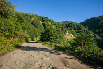 Beautiful nature of Georgia. The way to Gomismta.