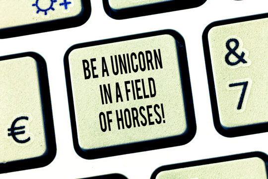 Conceptual hand writing showing Be A Unicorn In A Field Of Horses. Business photo text Make the difference being special Keyboard key Intention to create computer message idea