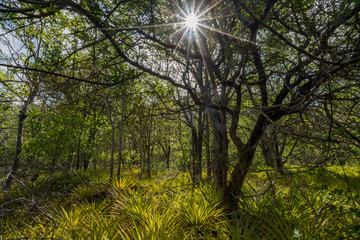 Walking in the Mundi of Curacao