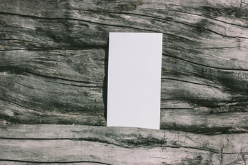 Blank business card on a natural background. Gray dry tree trunk texture. Driftwood without bark