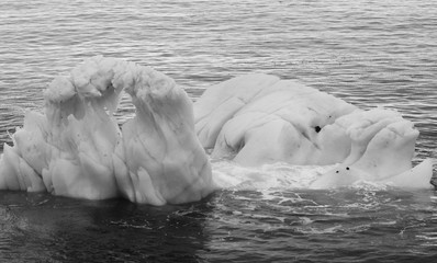 Two Unusual Icebergs In Ocean off Antarctica in Black and White