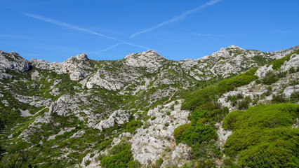 Park with calanques in Marseille, south of France.