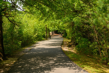 Deep Run Park Trail