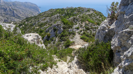 Obraz premium Park with calanques in Marseille, south of France.
