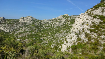 Park with calanques in Marseille, south of France.
