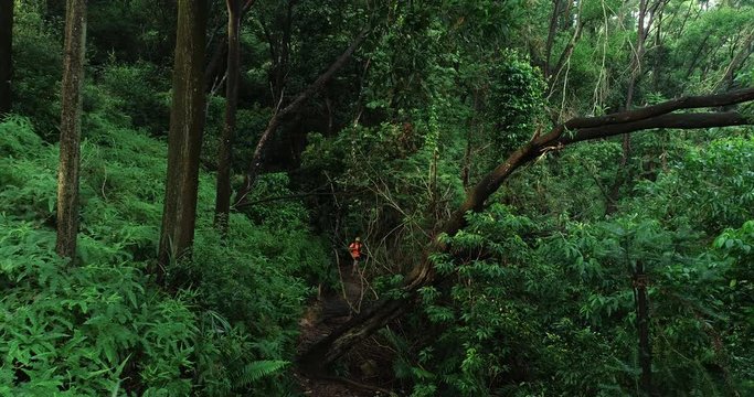 Aerial view of woman ultramarathon runner running in tropical rainforest 