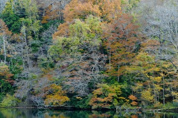 《十二湖の紅葉》青森県深浦町