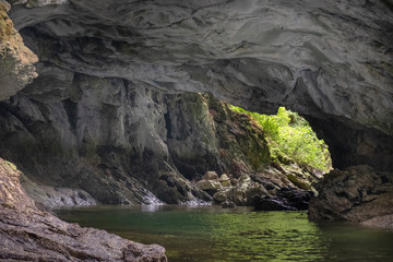 Fototapeta na wymiar Basket Bay Cave