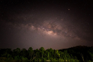 The vast sky at night landscape with milky way and various starry over forest
