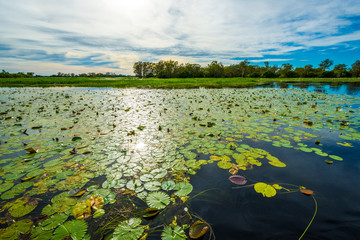landscape with lake and blue sky