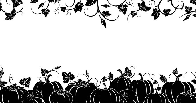 Pumpkin. Black silhouette. Horizontal border. Set of silhouettes of different pumpkins. Isolated silhouette vegetable,  leaves, flower and seeds. Vector illustration 