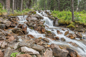 Cascade Lake Creek Flowing in Lake O'Hara Yoho National Park, Canada