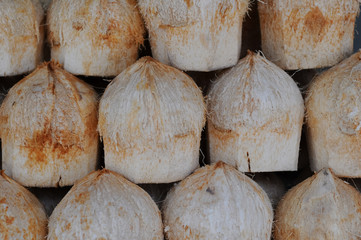 peeled coconuts stand in rows