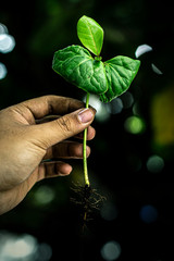 nature in my hand