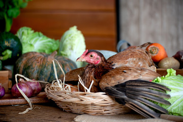 Hen in basket with eggs among the various types of vegetable on table in the kitchen.