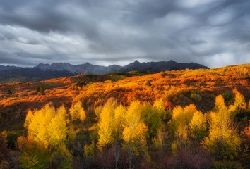 Falls Colors along the Dallas Divide