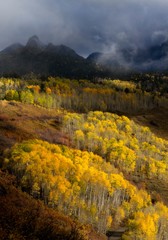 Diffused light over the Aspens