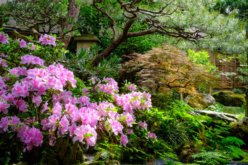 Japanese garden in Kanazawa, Japan