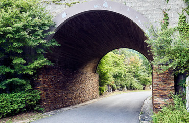 A tunnel in the forest at Jechun, South Korea.