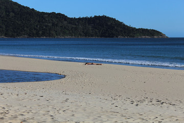 Guaecá