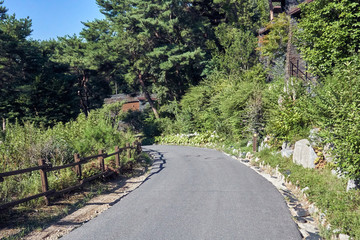 A road heading downwards in the forest at Jechun, South Korea.
