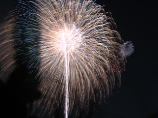 Japanese Summer Photography