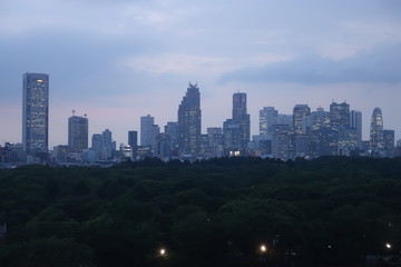 東京 新宿の高層ビル群 夕景　Tokyo skyline at night
