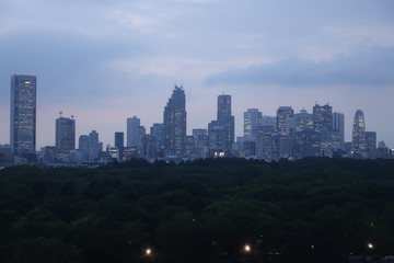 Obraz premium 東京 新宿の高層ビル群 夕景 Tokyo skyline at night