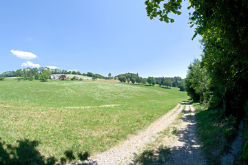 Fototapeta na wymiar Landscape shot near Gramastetten in Upper Austria