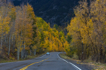 Autumn road