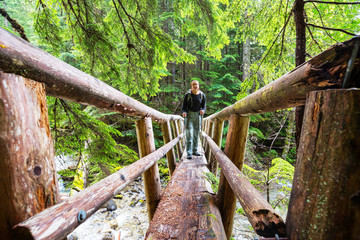 Bridge in the forest