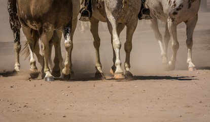 Primer plano de patas de caballos al trote en dirección a la camara