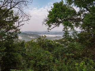 Bwindi Impenetrable Forest National Park, Uganda
