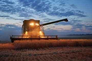 Harvesting by combine in the field in the dark and evening. Against the background of the sunset...